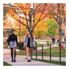 Two Students Walking Under Fall Trees on Campus
